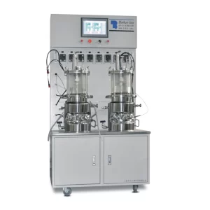 10L double magnetic mixing glass fermentor(cabinet type) BLBIO-10GCA-2-H