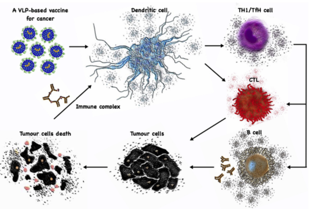 Viral Vaccine Manufacturing: 5 Powerful Insights into Efficient Production