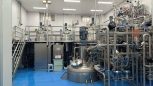 Bailun 15L-300L-10000L industrial bioreactor bio process engineer