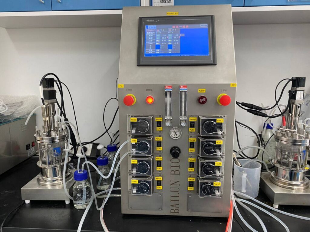 the glass laboratory bioreactor fermenter