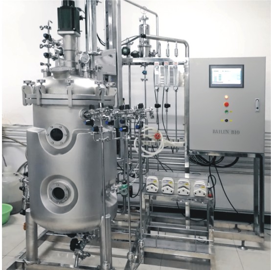 300L animal cell bioreactor BLBIO-300SCUC