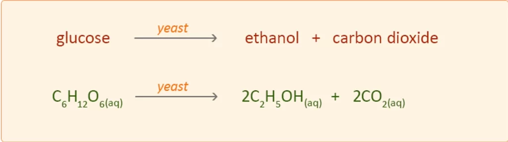 fermentation equation