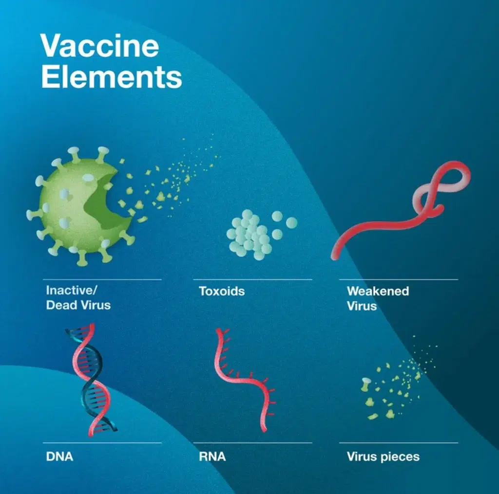 vaccine elements