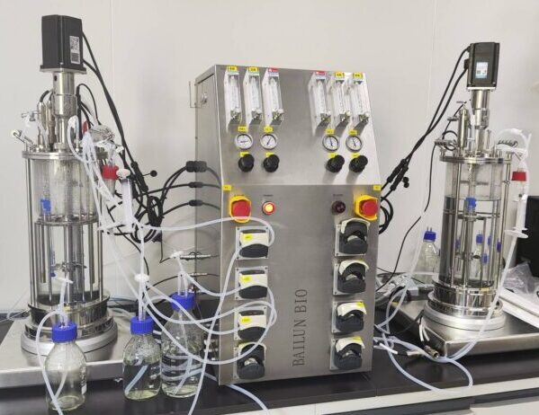 7L Glass bioreactor used for bacterial culture