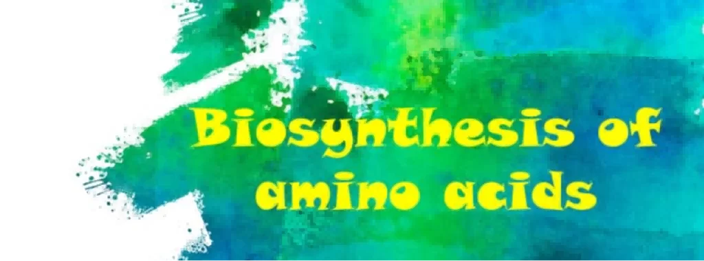 Biosynthesis of Amino Acids