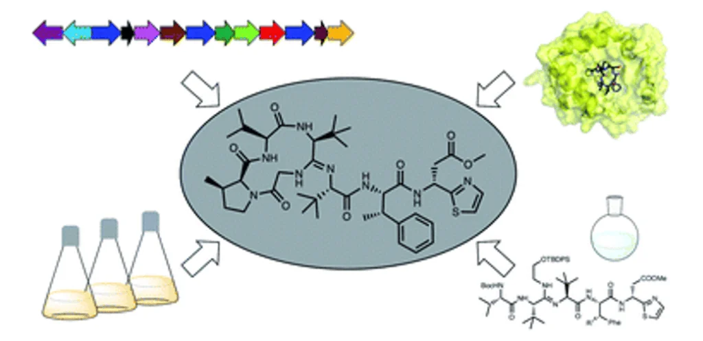 DNA Synthesis and Assembly