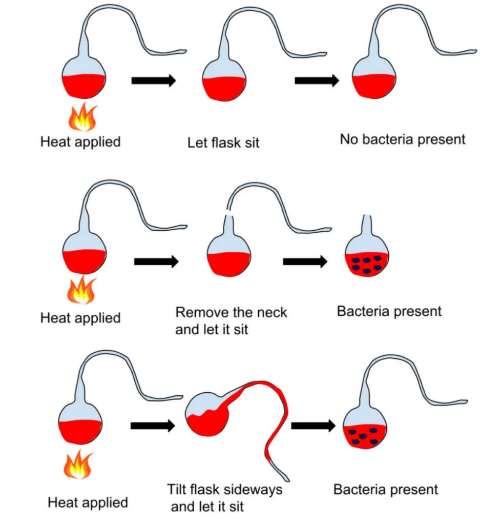 Definition of biogenisis