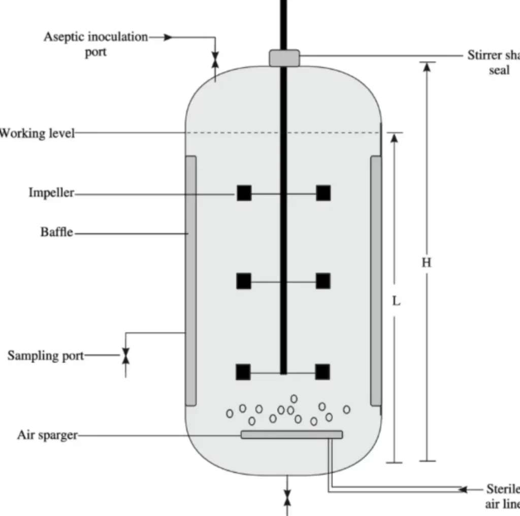 Fermenter in biotechnology