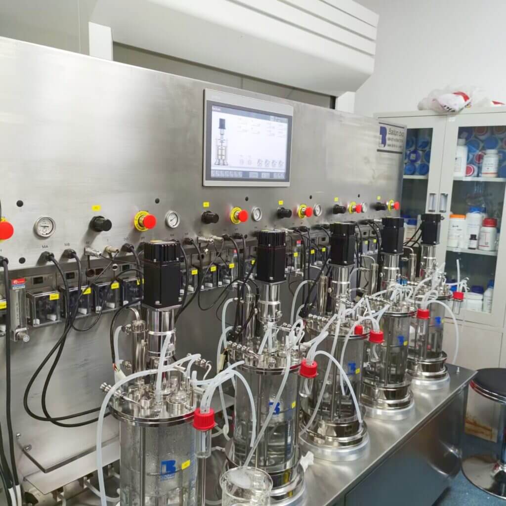 fermenter bacteria
