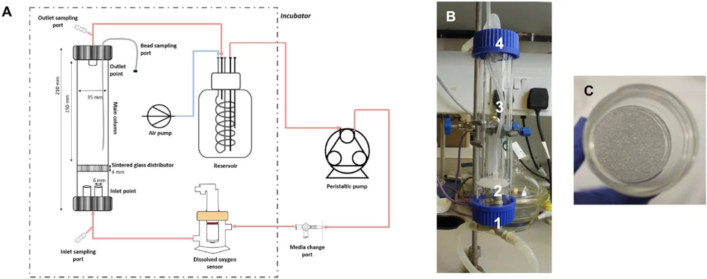 Fluidized Bed Bioreactor