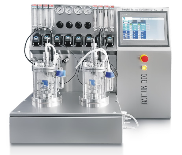 Glass-Fermentation-Jar