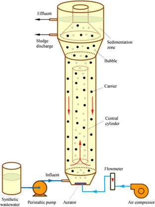 How a fluidized bed bioreactor works