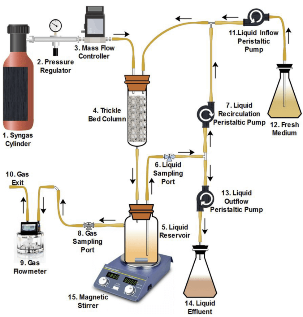 Product Formation & Harvesting