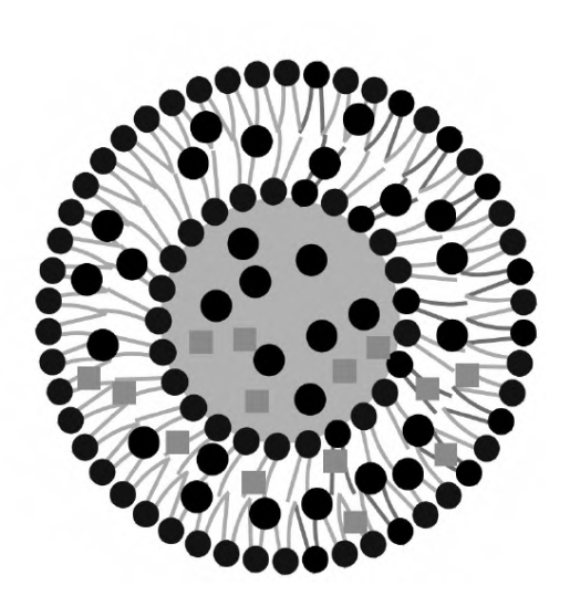 Schematic diagram of liposome structure
