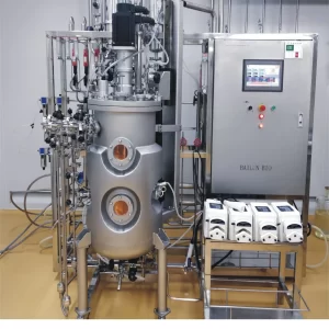 Stainless steel fermenter(mammlian cell) 100 liter BLBIO-100SCUC2