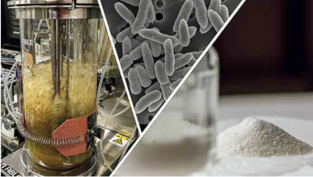 Synthetic Biology —— Pesticides & Feed Are Quality Routes