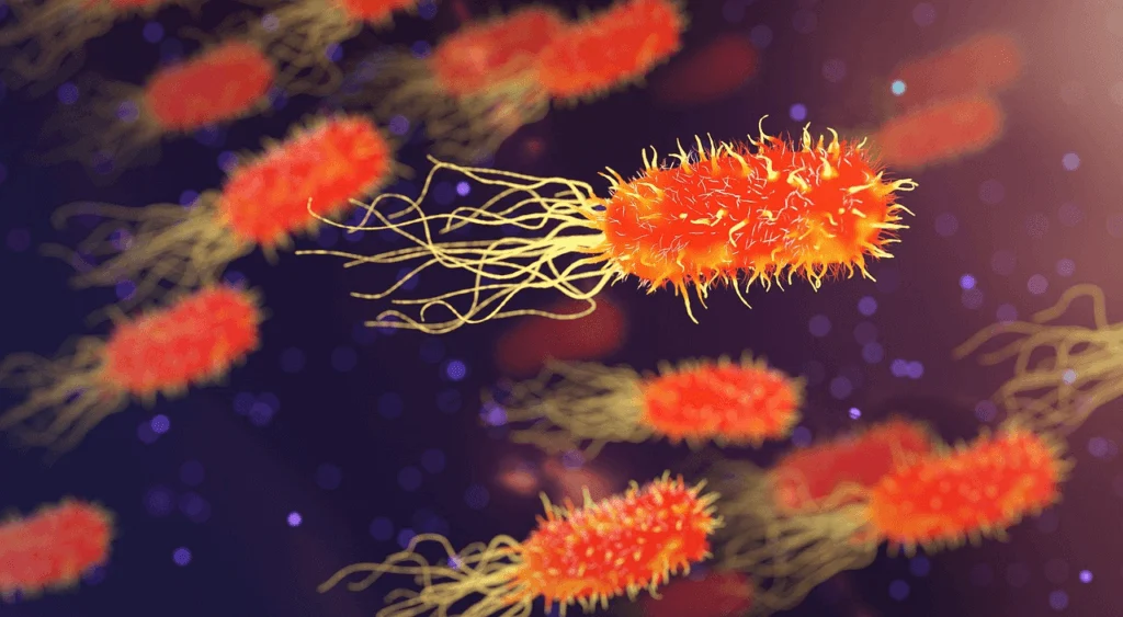 Vaccine-History-Fighting-Influenza-The-Flu-Vaccine