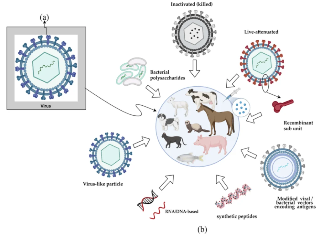 Viral vaccine manufacturing
