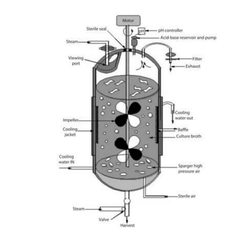 What Is a Bioreactor