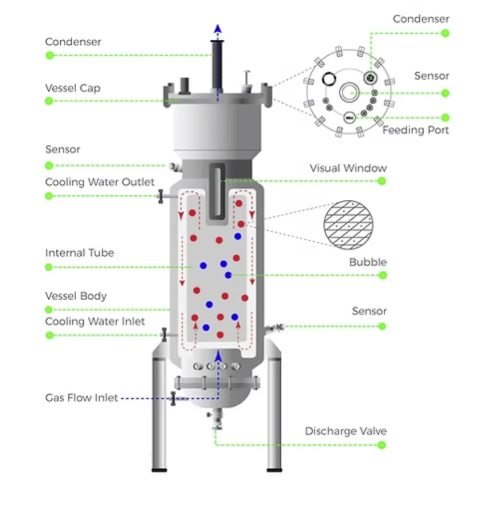 airlift fermentor bioreactor