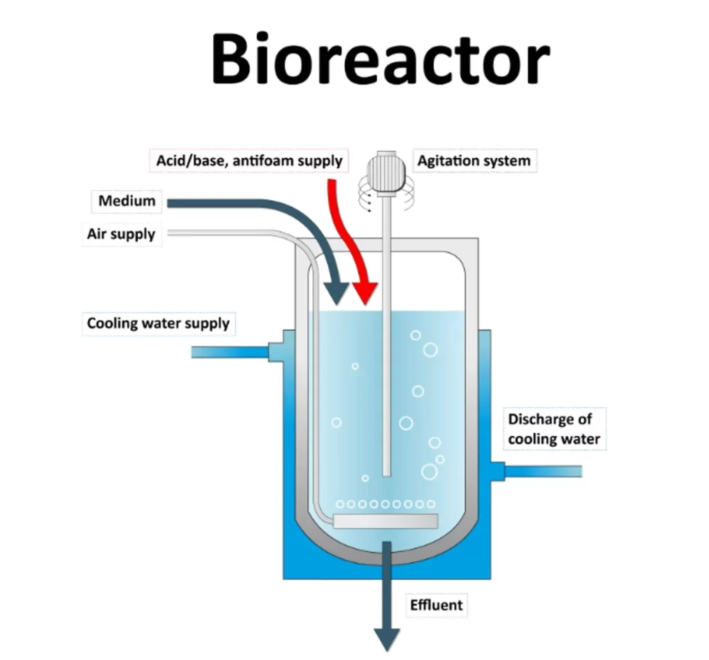 bioreactors