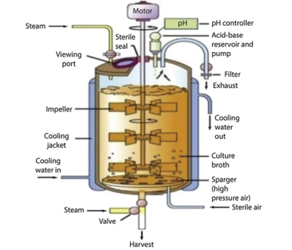 fermenter bioreactor