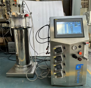 glass-airlift-bioreactor