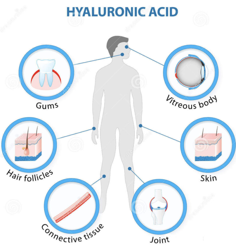 hyaluronic-acid
