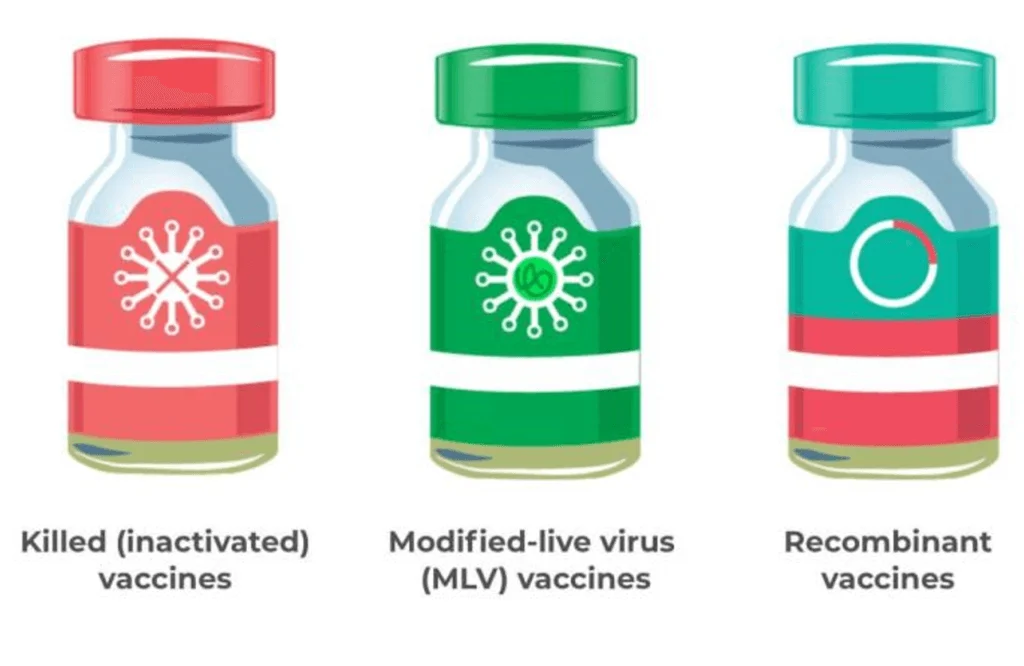 modified-live-vaccine