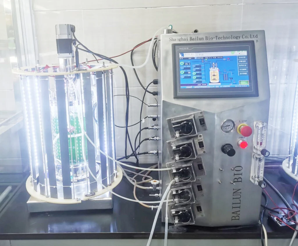 Bailun 5L glass photo bioreactor BLBIO-GJL