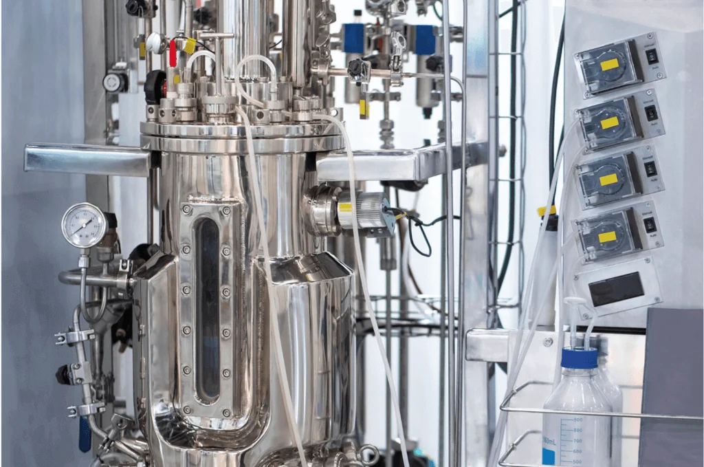 microorganisms fermentation