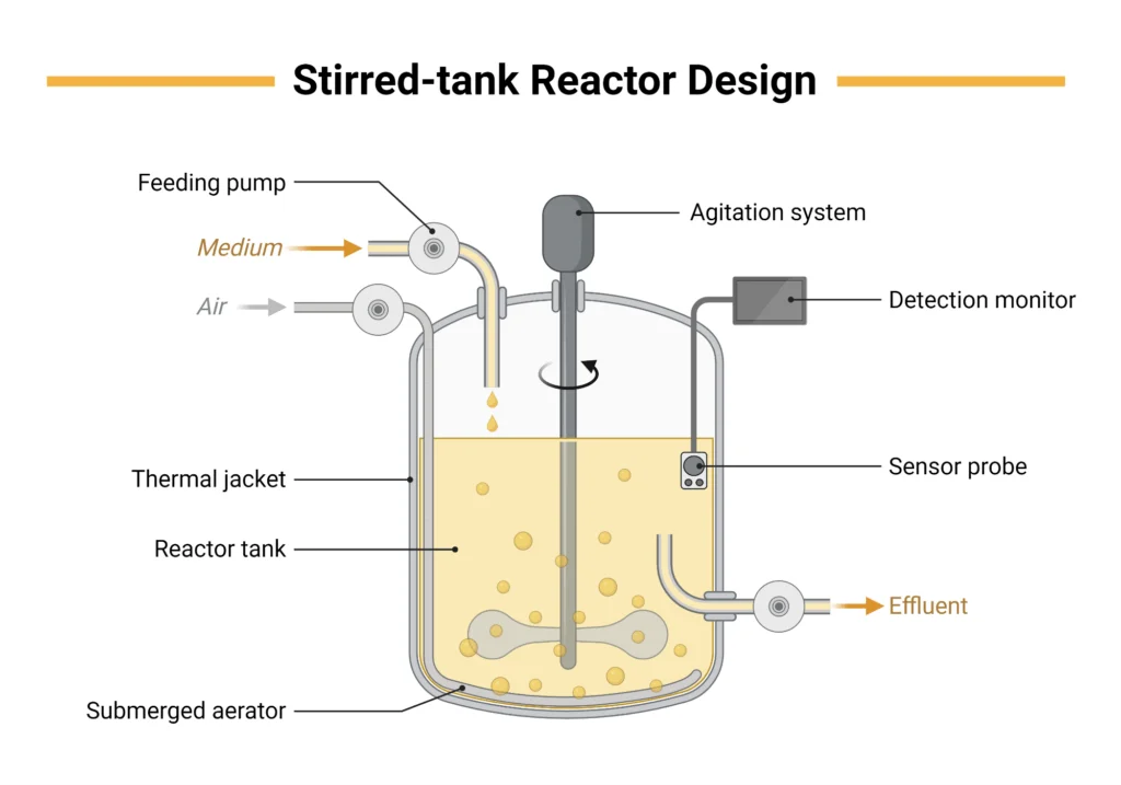 Stirred Tank Reactor Design