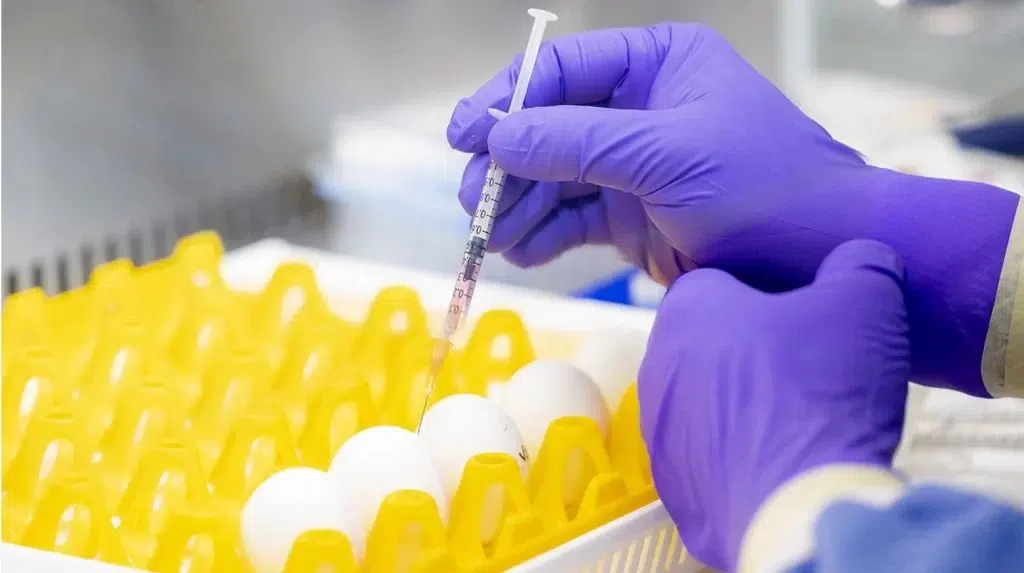viral vaccine